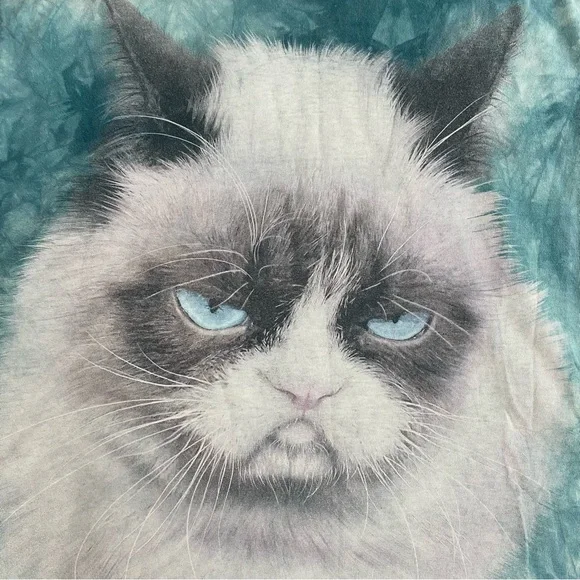 The Mountain Blue Tie Dye Grumpy Cat Graphic Tee T Shirt L - Picture 3 of 16